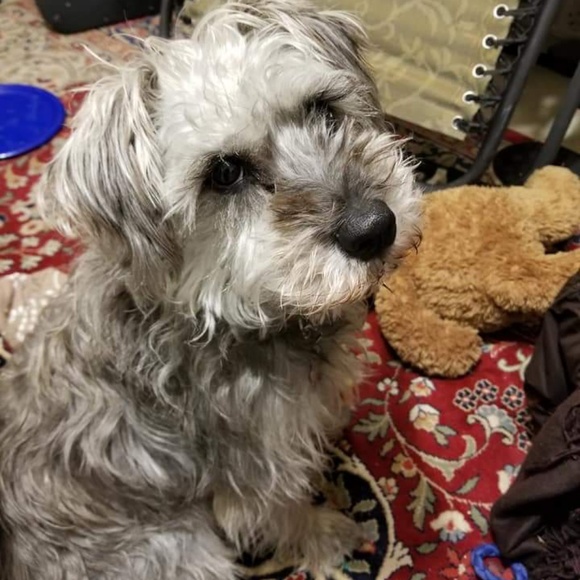 <3 To Bookmark Fantastic Mash! - Picture 2 of 4